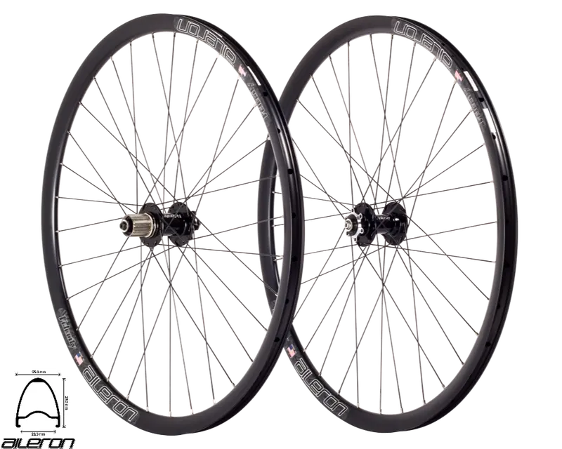 Aileron Disc - Standard Build 1