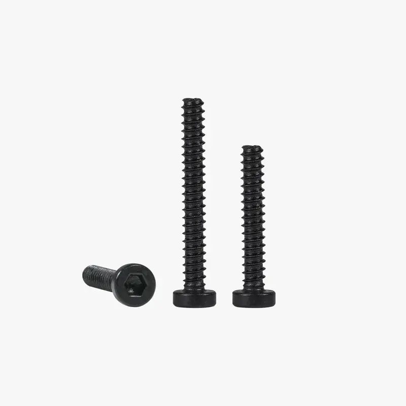 Bt2.5 Socket Head Cap Self Tapping Screws (Shcs) 1