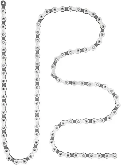 Campagnolo Super Record Chain - 12-Speed, 114 Links, Silver 1