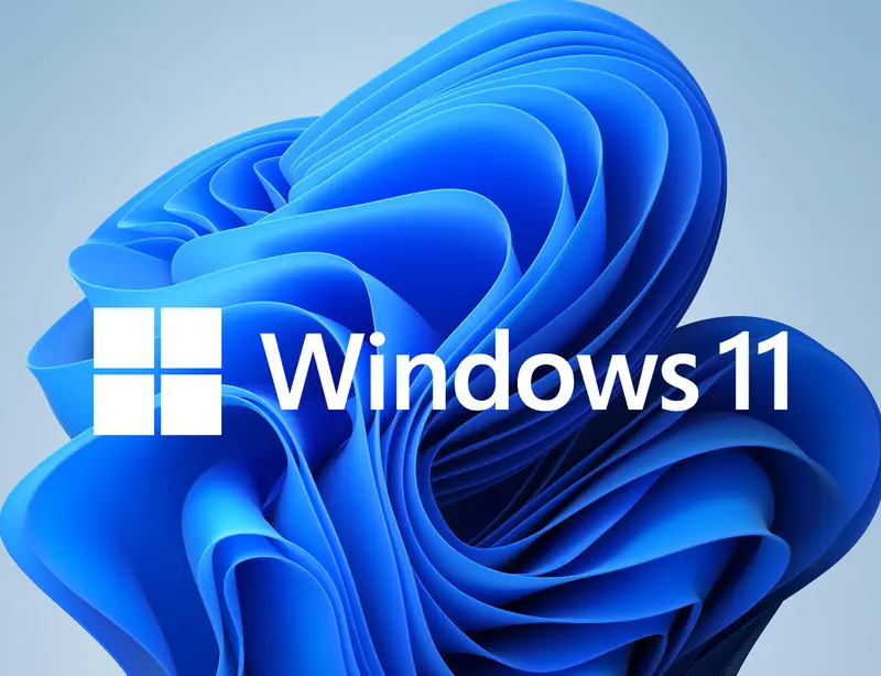 Windows 11 Professional 64Bit 1