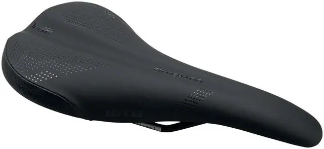Wtb Silverado Saddle - Chromoly, Black, Narrow 1